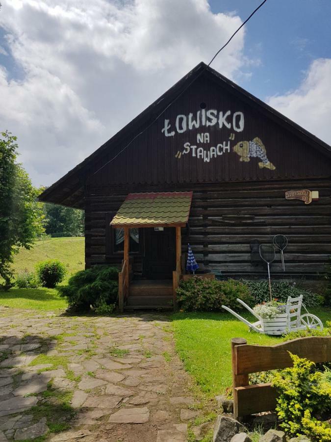 Na Stawach Guest House Stryszow Exterior photo